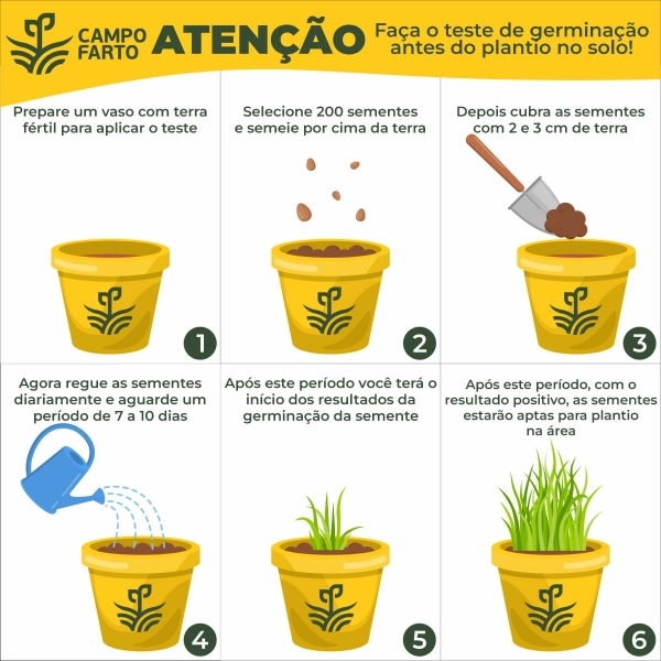 50 kg de Semente MG 12 Paredão Matsuda - Imagem Secundária